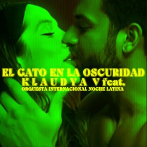 El Gato en la Oscuridad