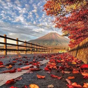 不甘平庸_败于现实