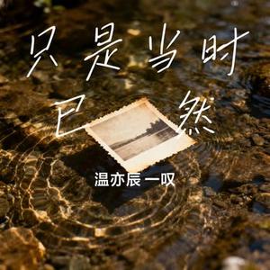 只是当时已惘然