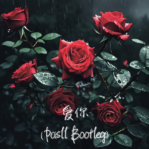 徐俊雅-爱你（Pasll Bootleg)（Pasll remix）