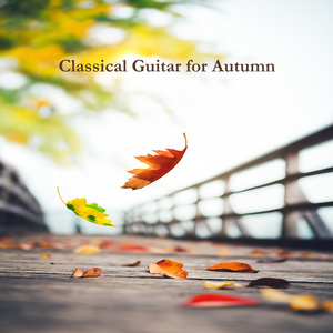 사티 : 당신을 원해요