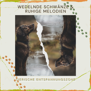 Therapiehund-Training