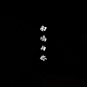 南墙与你