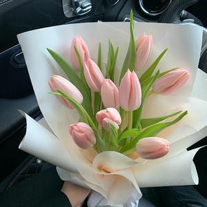 世面（治愈版）