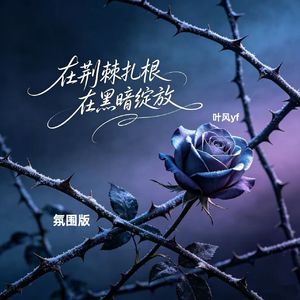 在荆棘扎根 在黑暗绽放（氛围版）