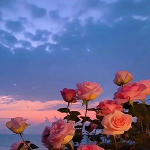 美食相声大碰撞