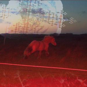 nondirect (Demo Version)