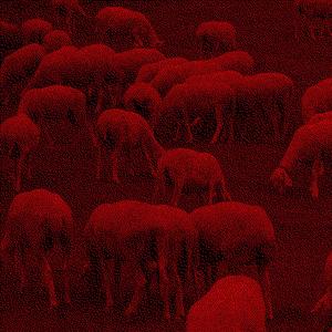 BİNA(LAR) (feat. Rinxlaya)