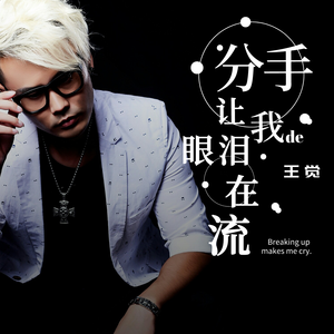 分手让我的眼泪在流