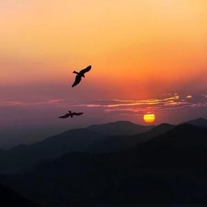 最后的莫西干人(乐队版)