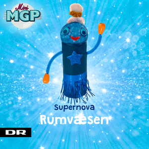 Rumvæsen