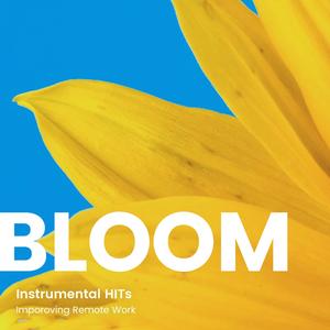 カリンと雪の道