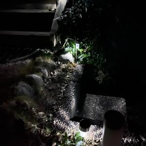 Jag prisar dig för korset