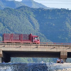 有夹竹桃开的普通周末