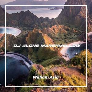 DJ ALONE MENGKANE