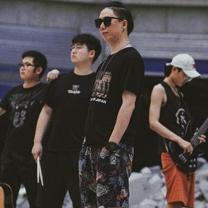 流星掉进菜田里