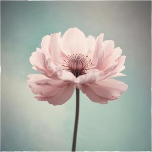 迷いの季節 (Season of Doubt - ฤดูกาลแห่งความลังเล) by @cymbalisticjazz997