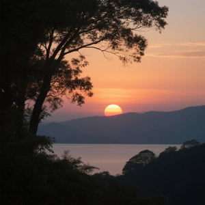 明明很想你 又怕打扰你