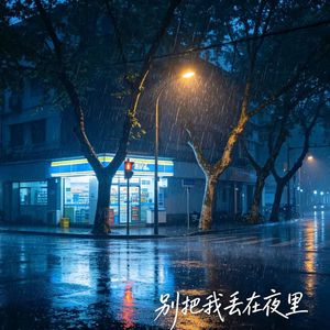 别把我丢在夜里（feat.911）