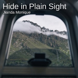 Hide in Plain Sight