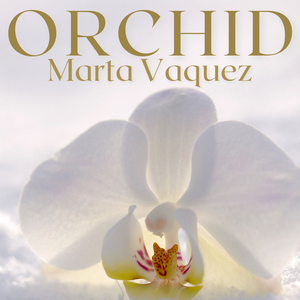 Sur Des Bouts De Bois