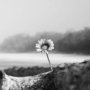 Esperanza (Rap Instrumental)