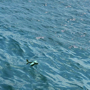 其中一个（Prod by Slim Dyane）