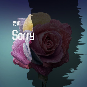 Sorry 伴奏