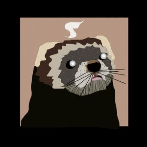 Я Фотографирую Закат