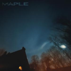 Maple