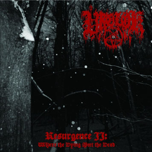 Within The Master's Chambers