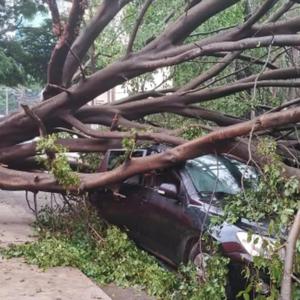 Rebelião (feat. FM-CINCO)