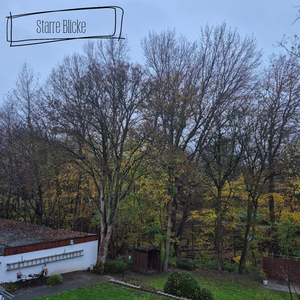 Filter Der Realitaet