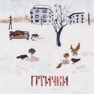 ПТИЧКИ