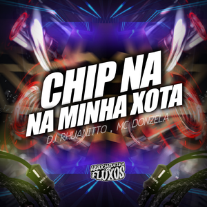 Chip na Minha Xota - Super Slowed
