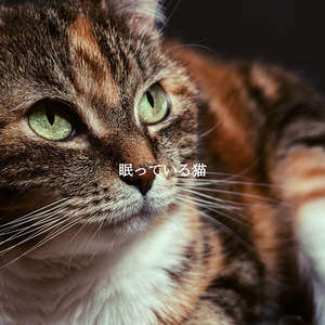 Breathtaking Backdrops for Rome Espresso Bars