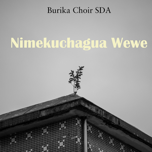 Nimekuchagua Wewe