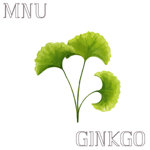 Ginkgo