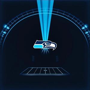 Seahawks (The Dark Side)