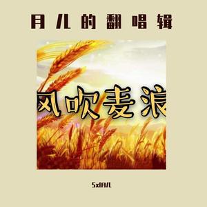 风吹麦浪（翻自 孙俪/李健）