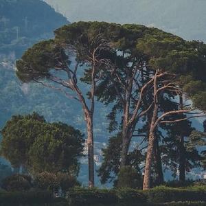 外文女生说唱（DJ版）