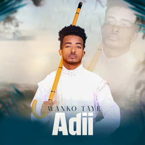 Adii