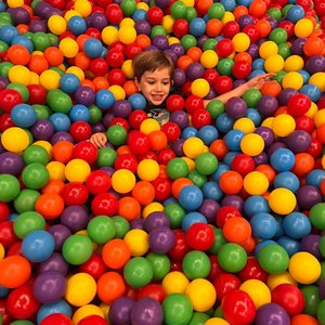 Investigador de Pássaros