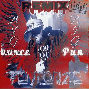 Terrorize Remix (feat. Big Pun)