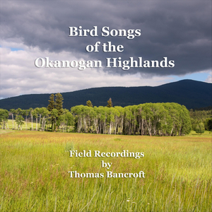 Evening Serenade of Two Swainson's Thrushes