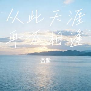 从此天涯再不相逢