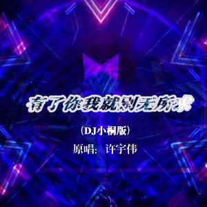有了你我就别无所求 (DJ小桐版)