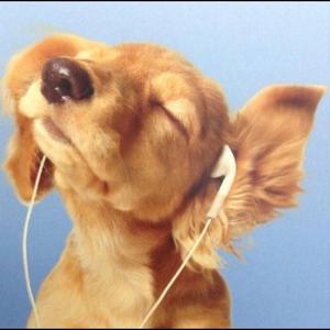 We OM (feat. 19x, Ambrs & 14x)