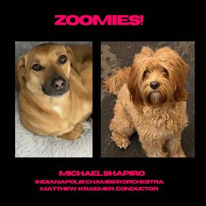 Zoomies! (feat. INDIANAPOLIS CHAMBER ORCHESTRA & MATTHEW KRAEMER, CONDUCTOR)