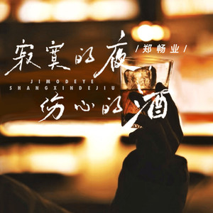 寂寞的夜伤心的酒